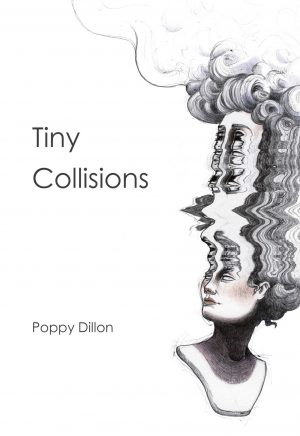 London Poetry Life poetry book Tiny Collisions BY Poppy Dillon cheap buy