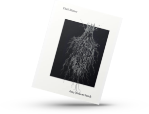 Dark Matter poetry book